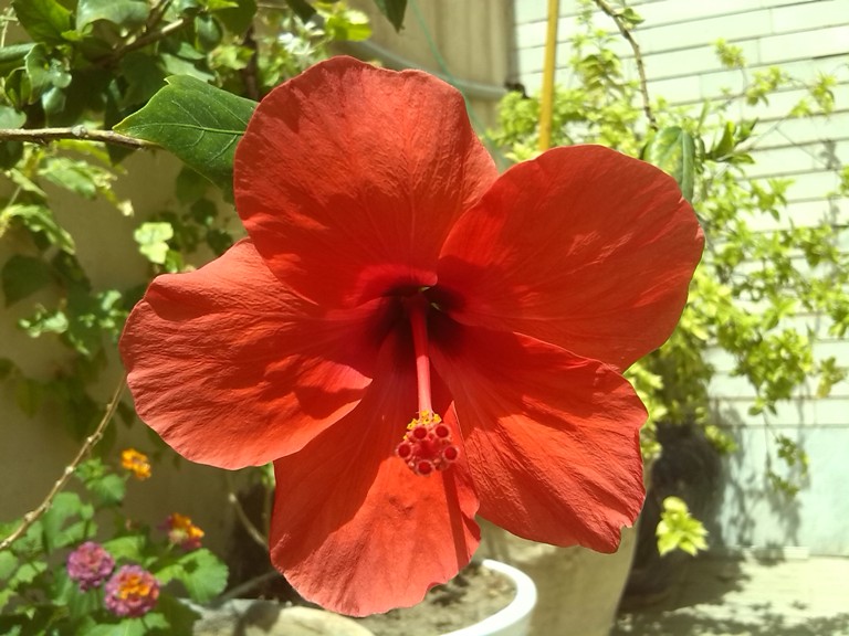 عکس طبیعت