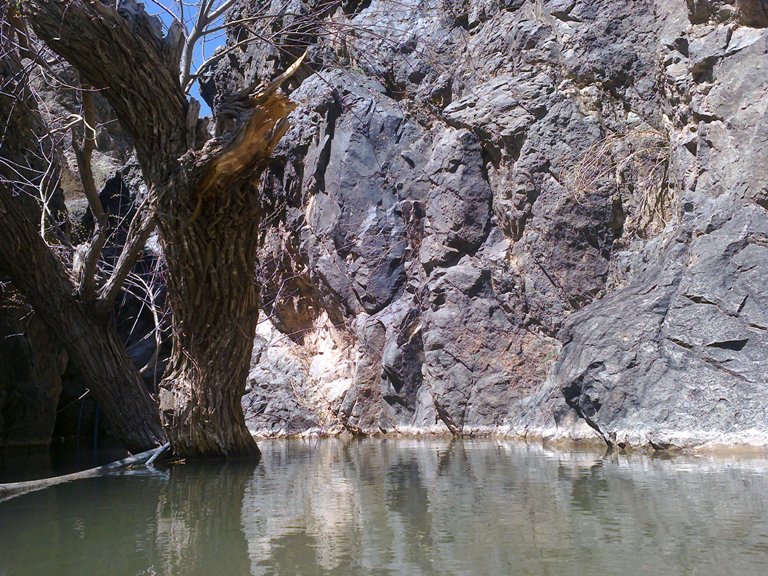 کوهستان کاشمر